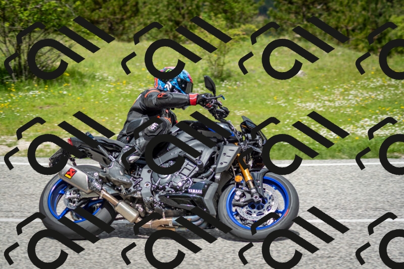 202505181148-DSC_9020_c2