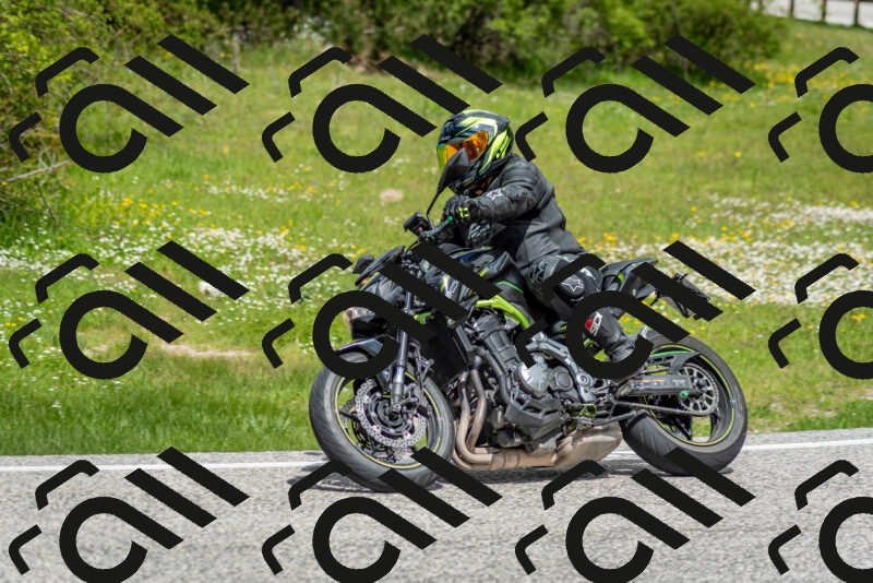 202505181149-DSC_9030_c2