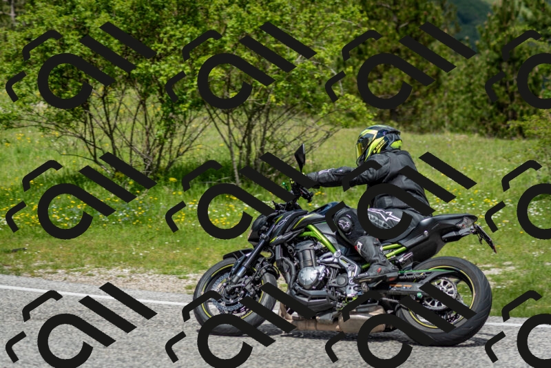 202505181149-DSC_9031_c2