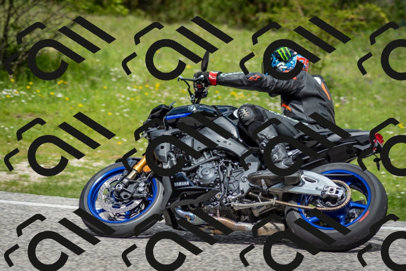 202505181149-DSC_9033_c2