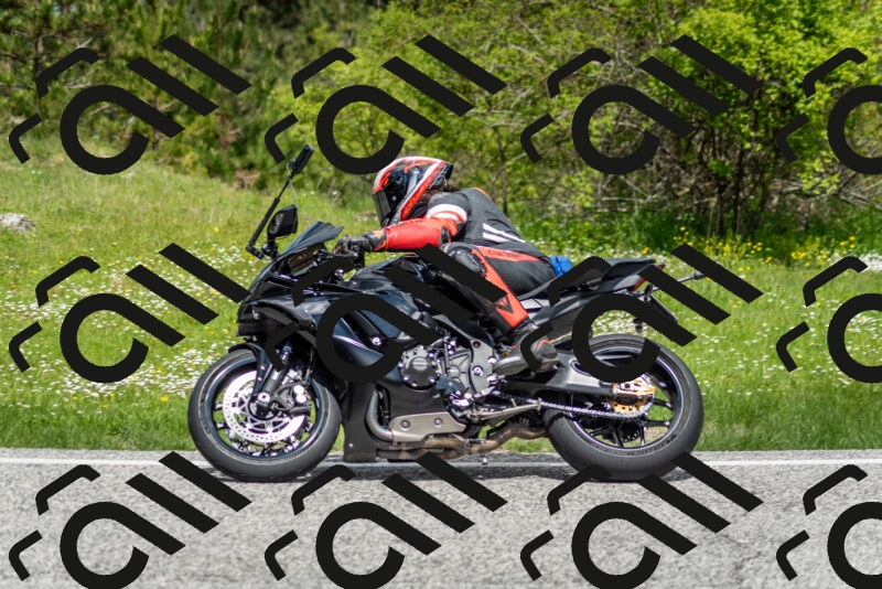 202505181149-DSC_9037_c2