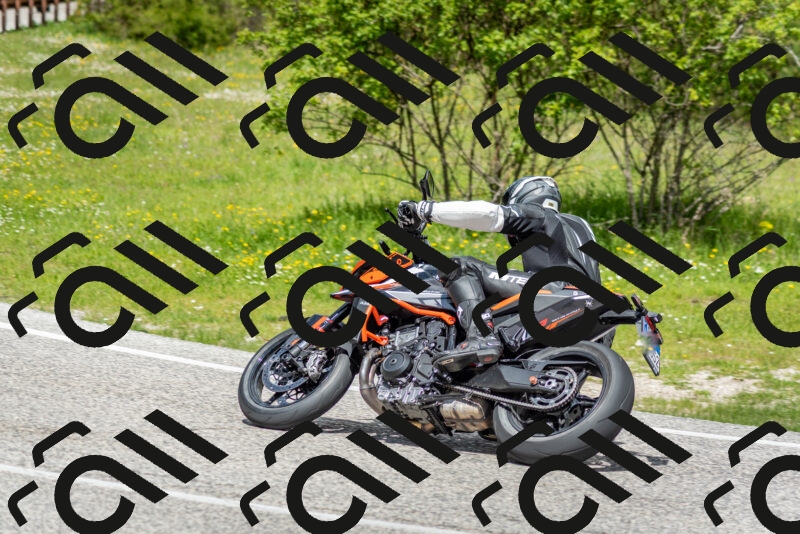 202505181149-DSC_9040_c2