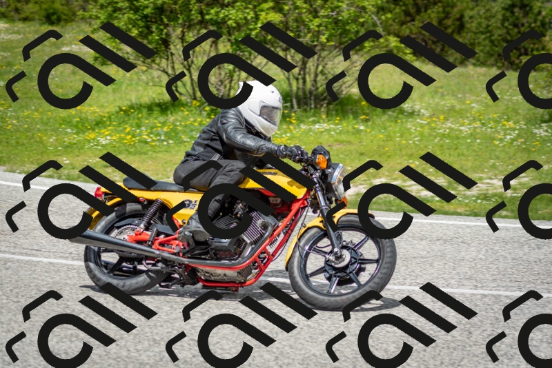 202505181149-DSC_9052_c2