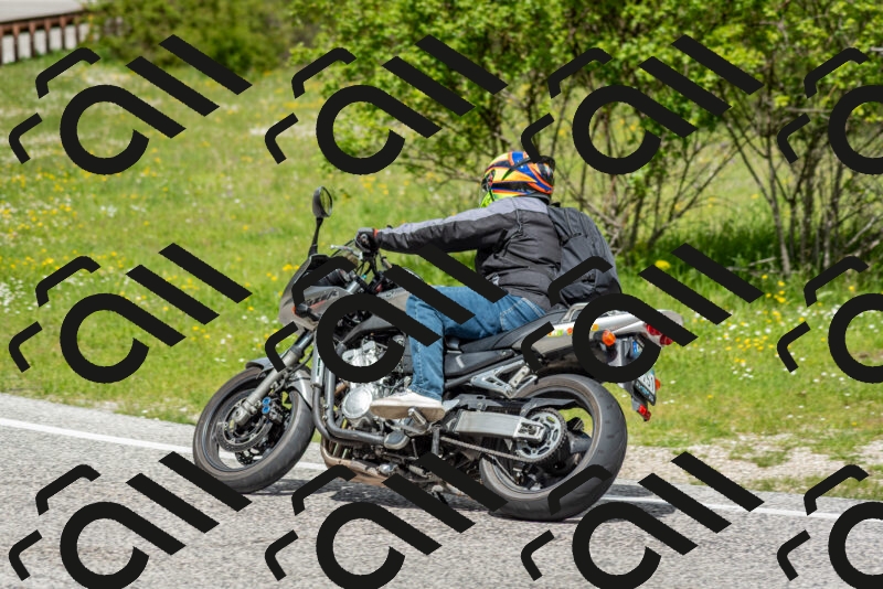 202505181149-DSC_9054_c2