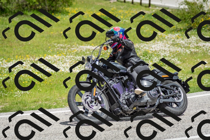 202505181149-DSC_9058_c2