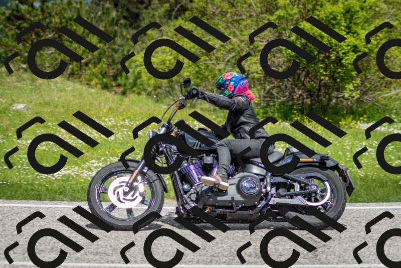 202505181149-DSC_9059_c2