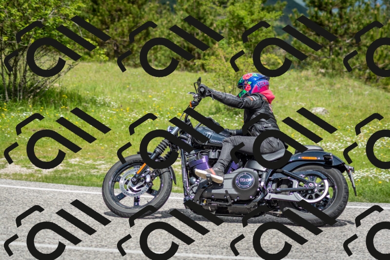 202505181149-DSC_9060_c2