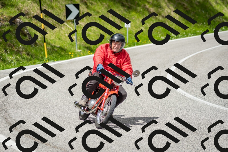 202505181149-DSC_9061_c2