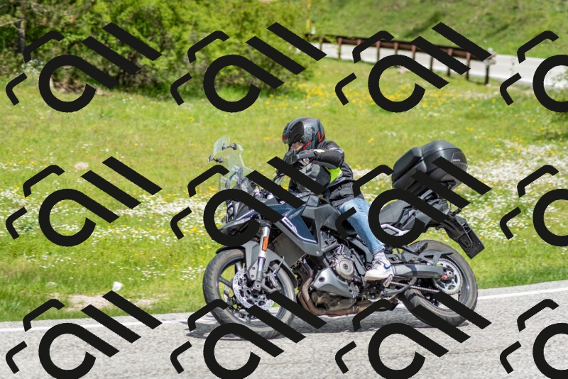 202505181150-DSC_9070_c2