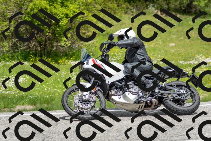 202505181151-DSC_9075_c2