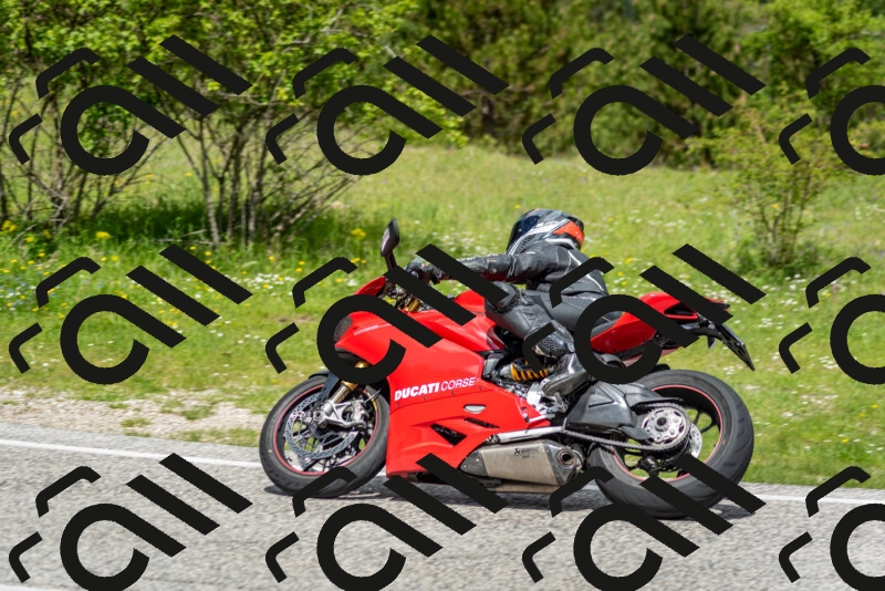 202505181151-DSC_9080_c2