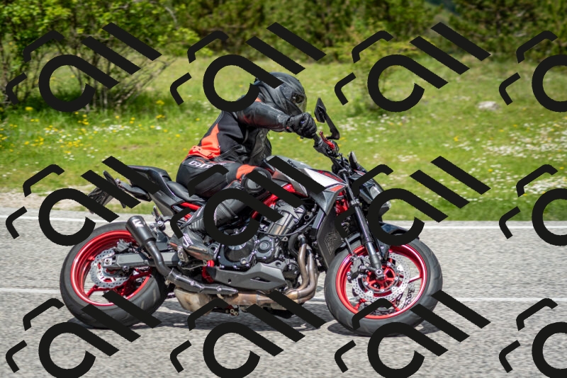 202505181151-DSC_9082_c2