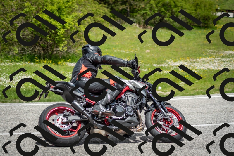 202505181151-DSC_9083_c2