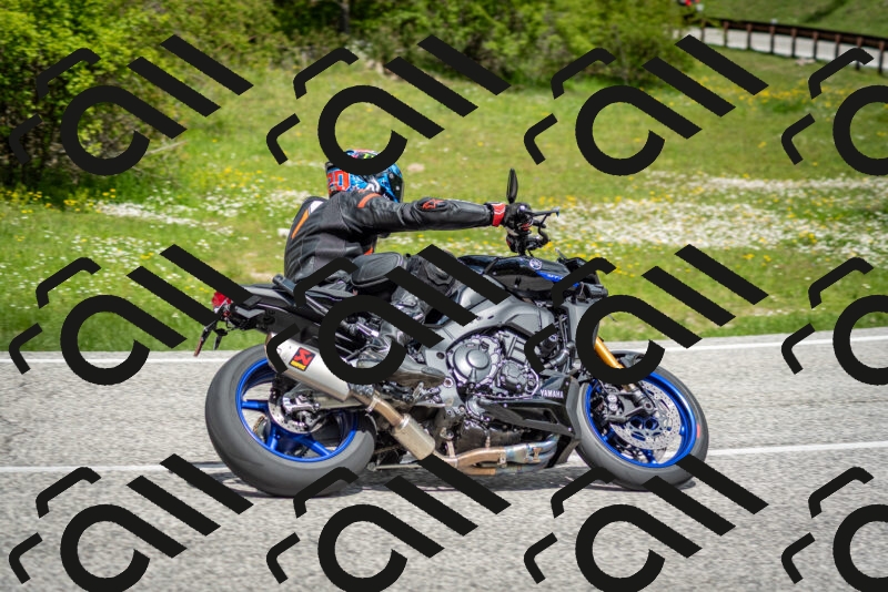 202505181151-DSC_9087_c2