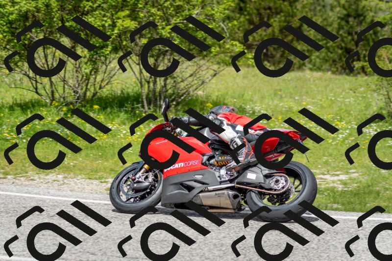 202505181151-DSC_9094_c2