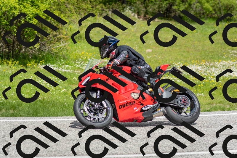 202505181151-DSC_9096_c2