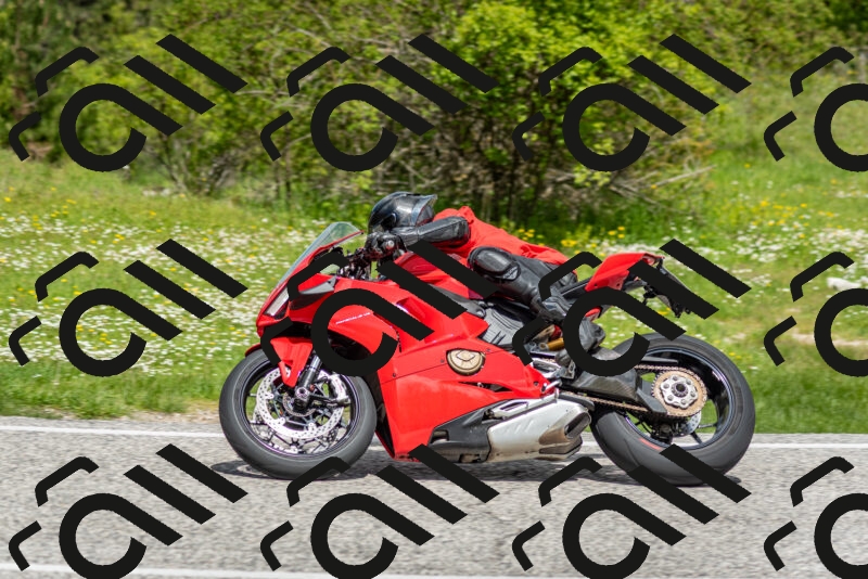 202505181151-DSC_9103_c2