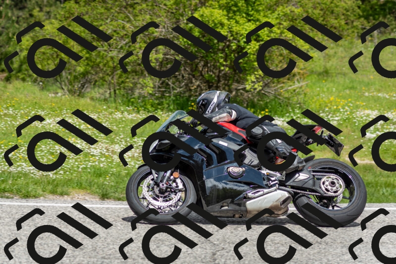 202505181151-DSC_9105_c2