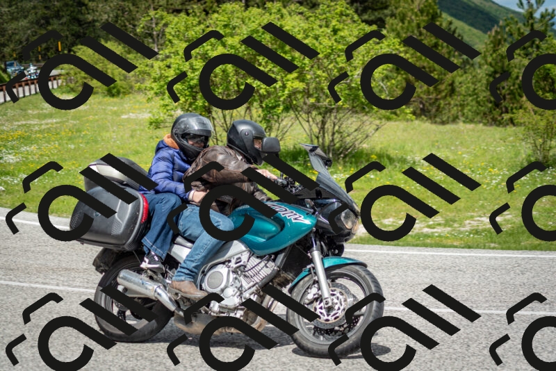 202505181152-DSC_9114_c2