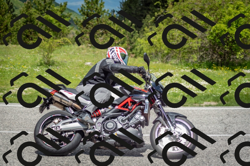 202505181152-DSC_9116_c2