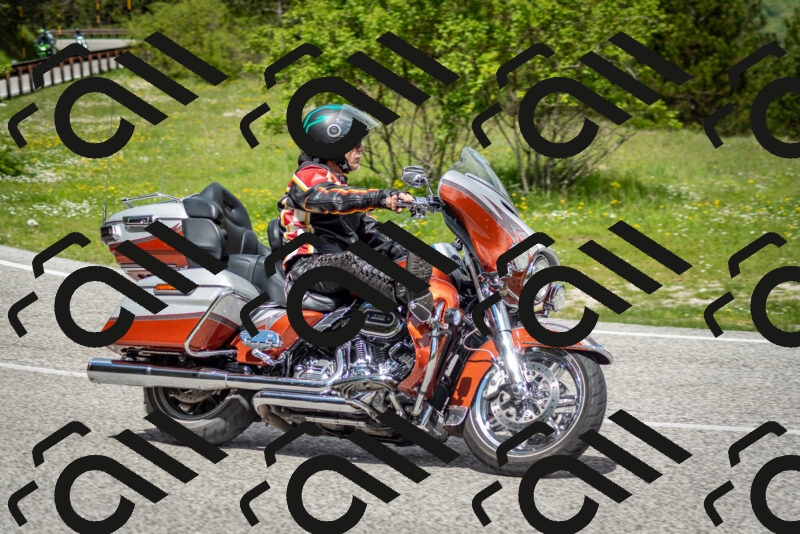 202505181152-DSC_9118_c2