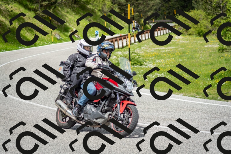 202505181152-DSC_9131_c2