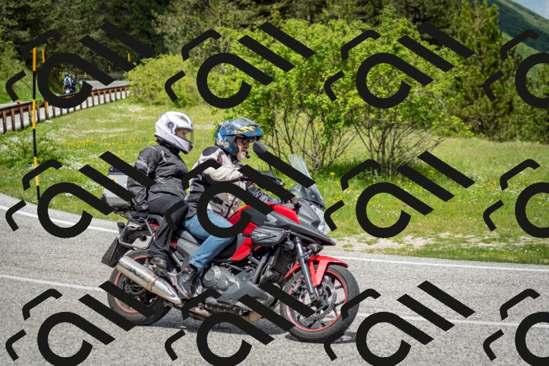 202505181152-DSC_9132_c2