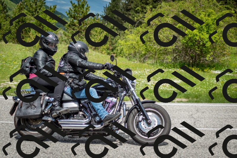 202505181152-DSC_9134_c2