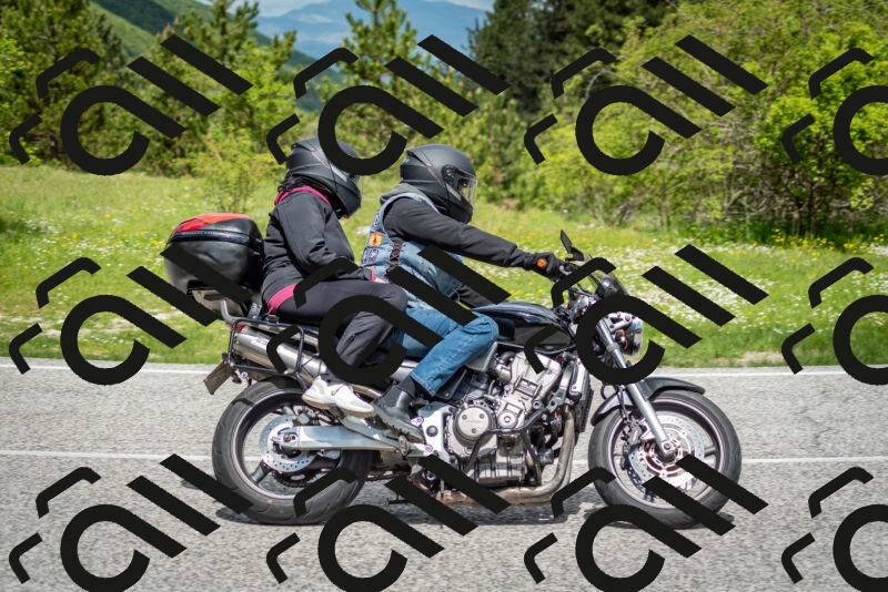 202505181152-DSC_9136_c2