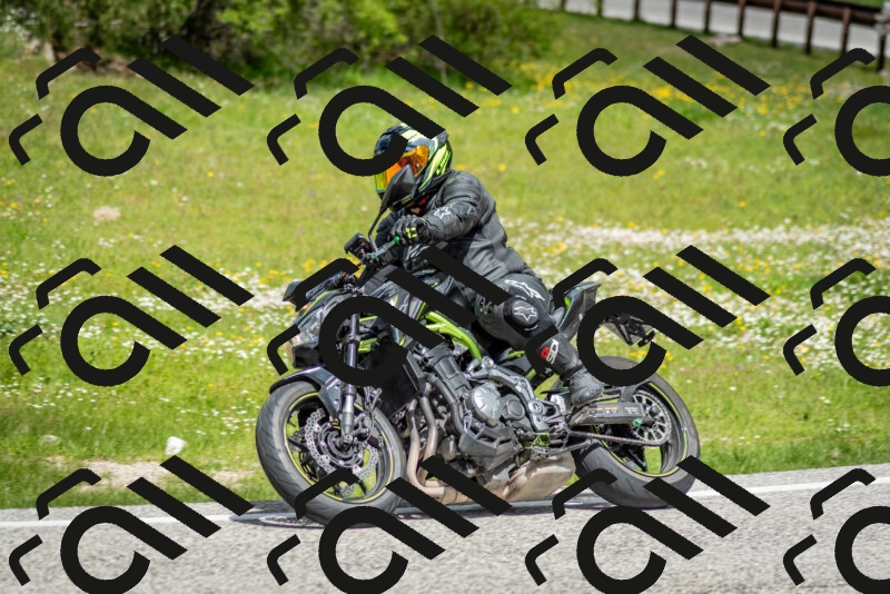 202505181152-DSC_9138_c2