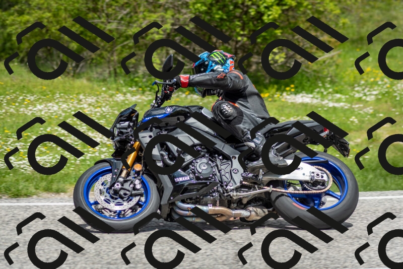 202505181152-DSC_9140_c2