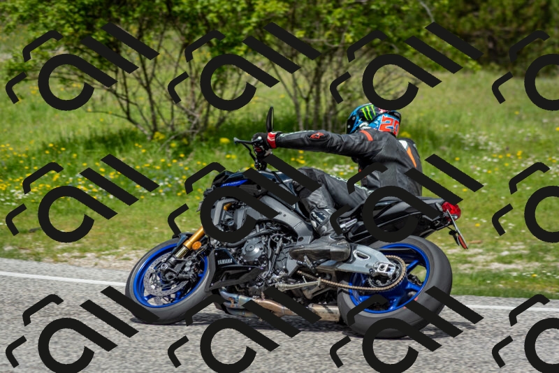 202505181152-DSC_9141_c2