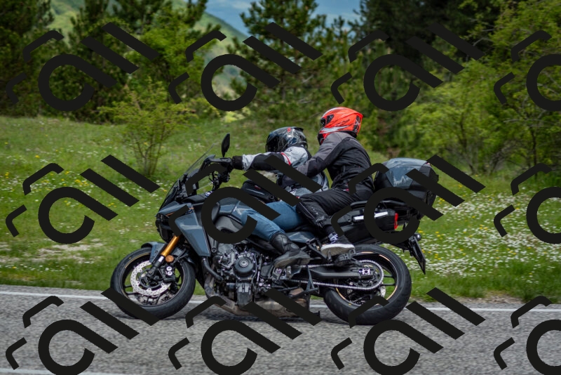 202505181152-DSC_9146_c2