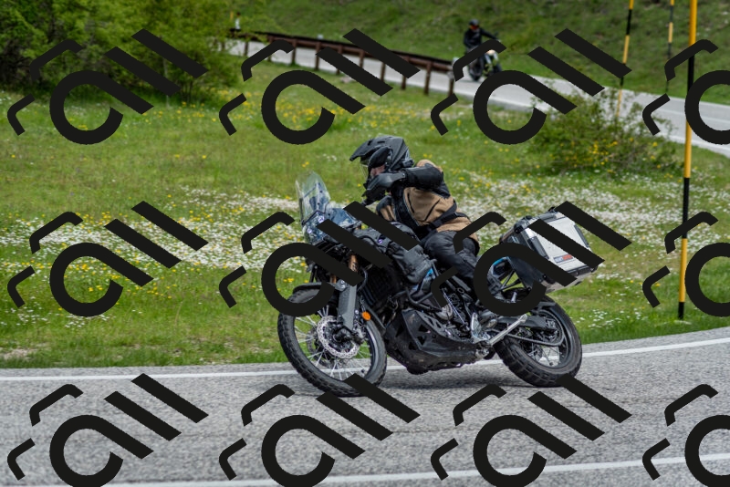 202505181153-DSC_9148_c2