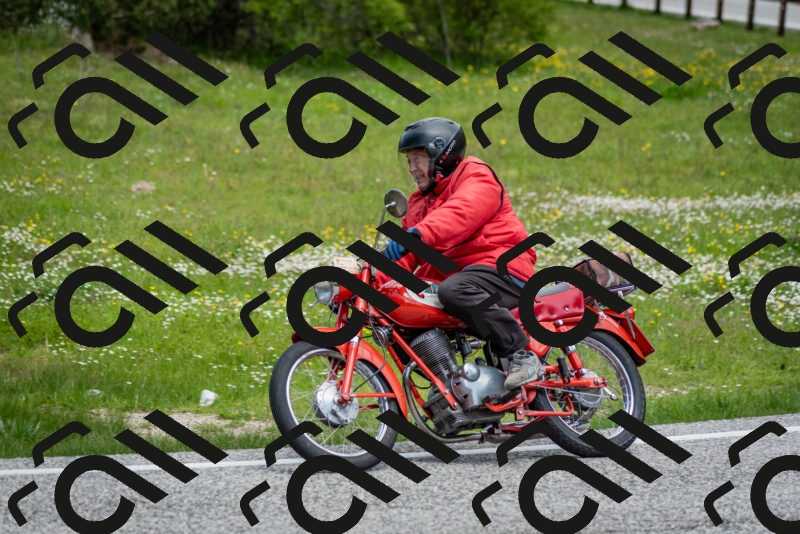 202505181153-DSC_9167_c2