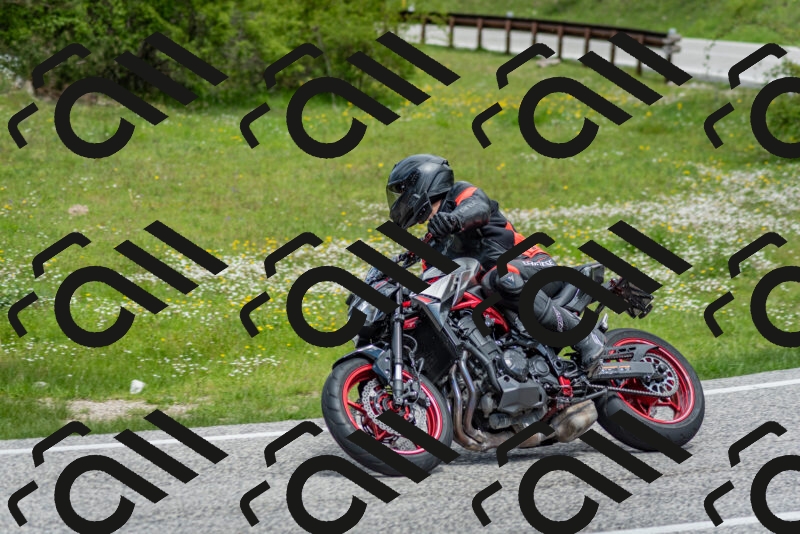 202505181153-DSC_9169_c2