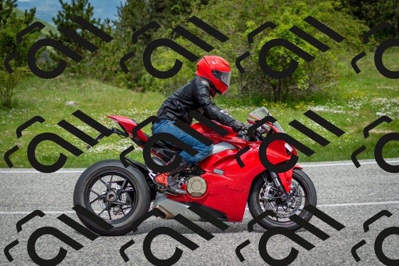 202505181154-DSC_9177_c2