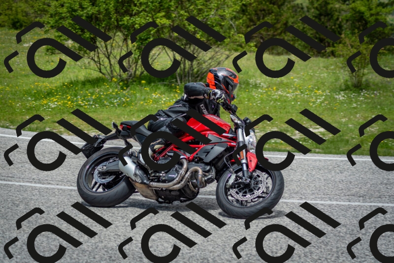 202505181154-DSC_9179_c2