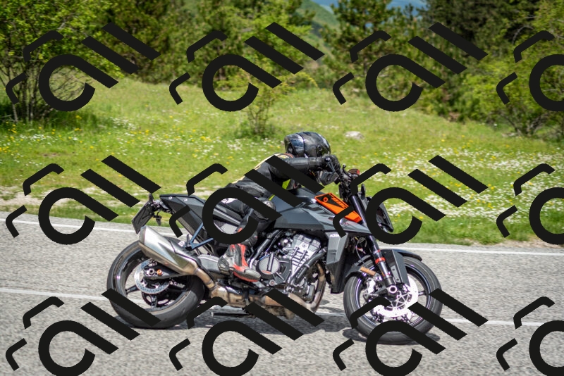 202505181154-DSC_9194_c2