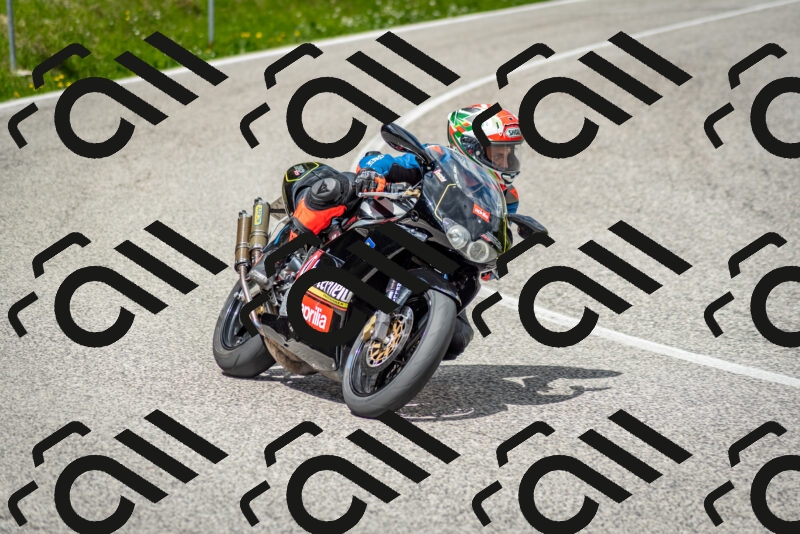 202505181155-DSC_9195_c2