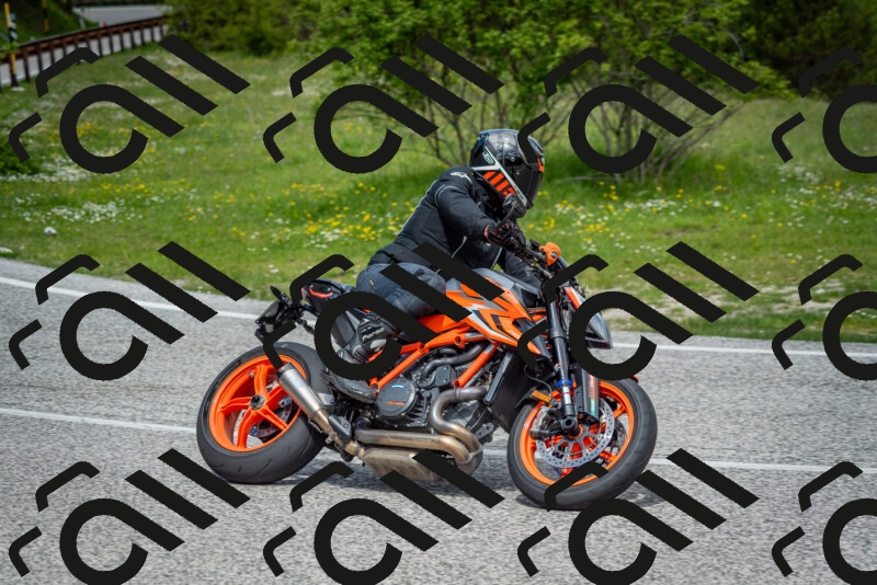 202505181156-DSC_9226_c2