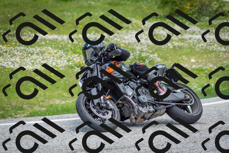 202505181157-DSC_9228_c2