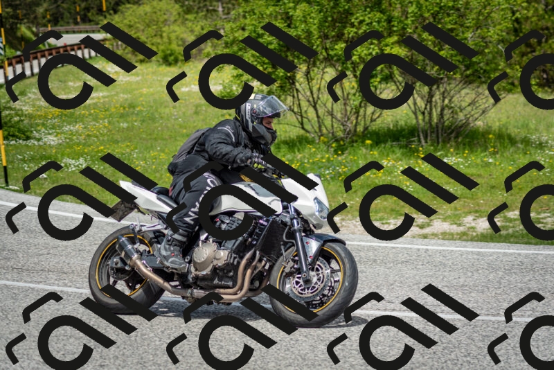 202505181157-DSC_9238_c2