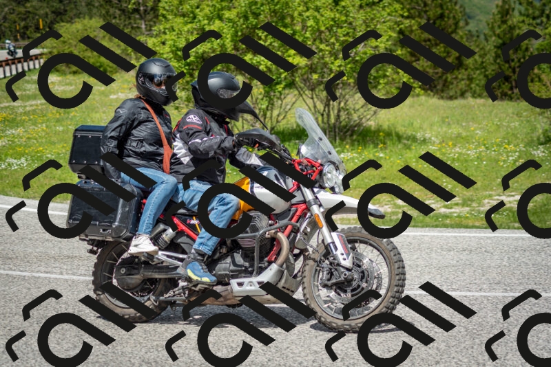 202505181158-DSC_9253_c2