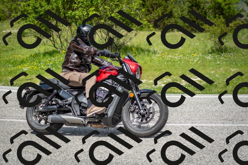 202505181158-DSC_9256_c2