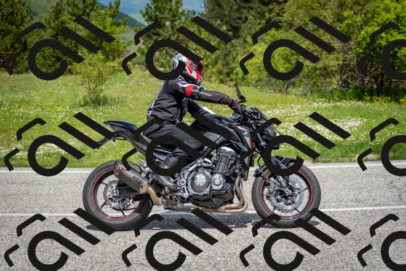 202505181158-DSC_9259_c2