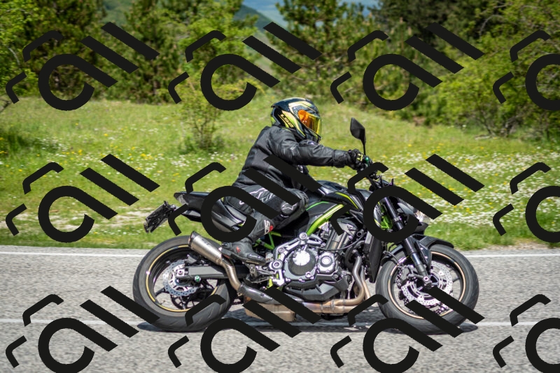 202505181159-DSC_9266_c2