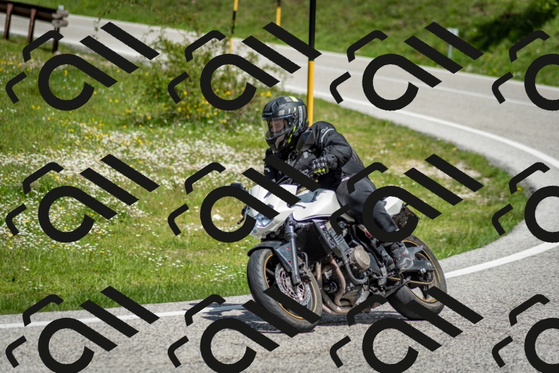 202505181200-DSC_9274_c2