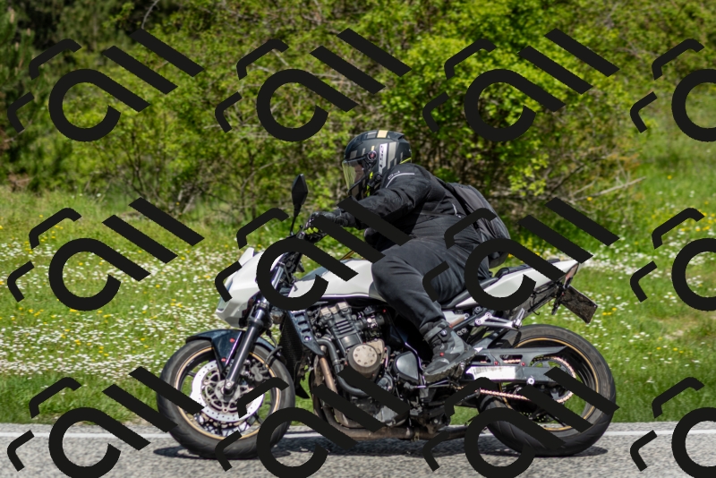 202505181200-DSC_9275_c2