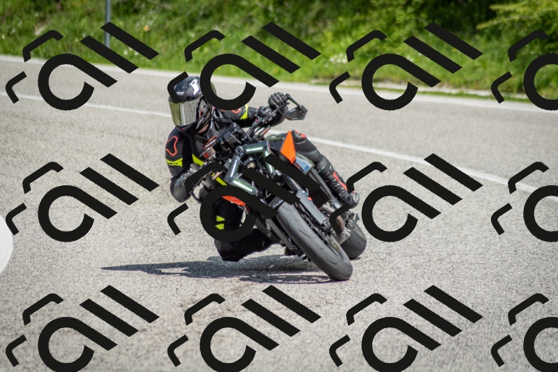 202505181200-DSC_9277_c2